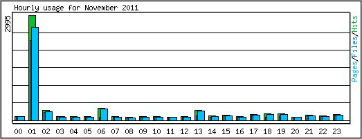 Hourly usage