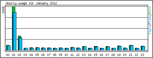 Hourly usage