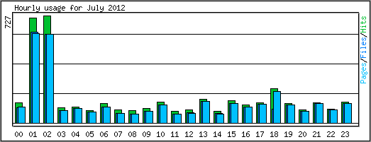 Hourly usage