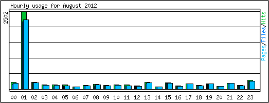 Hourly usage