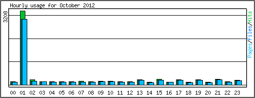 Hourly usage