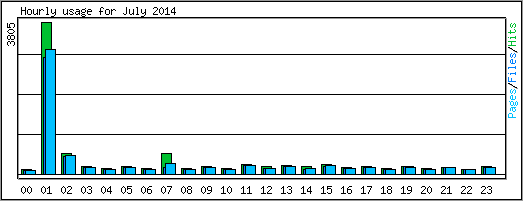 Hourly usage