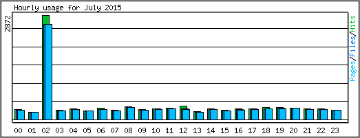 Hourly usage