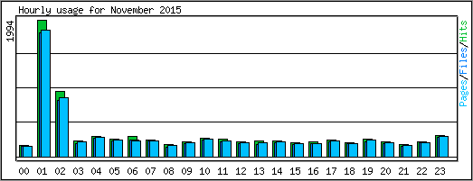 Hourly usage