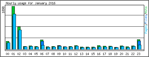 Hourly usage