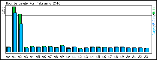 Hourly usage