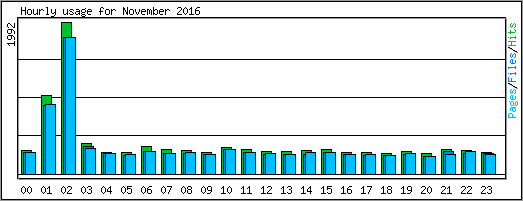 Hourly usage