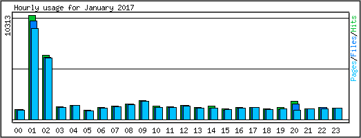 Hourly usage