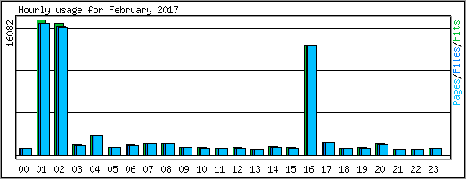 Hourly usage