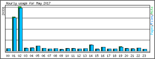 Hourly usage