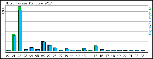 Hourly usage