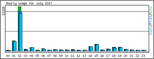 Hourly usage