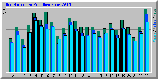 Hourly usage for November 2015