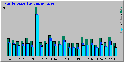 Hourly usage for January 2016